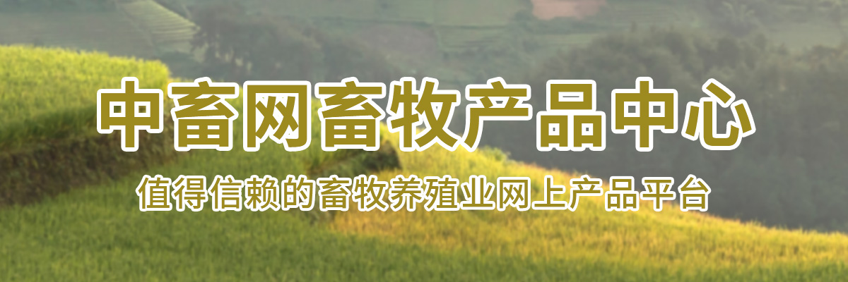 第1张图片